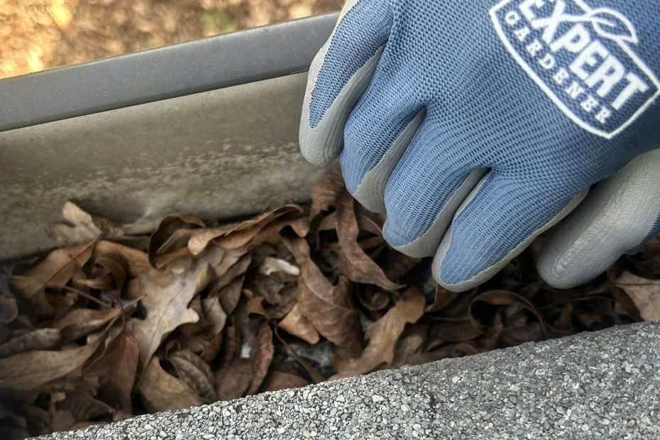 Gutter Cleaning Clarksville KY